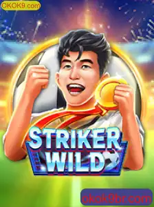 Descubra o Universo de StrikerWILD no OKOK9.com