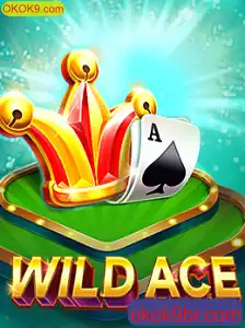 Descubra o Fascinante Mundo de WildAce no OKOK9.com